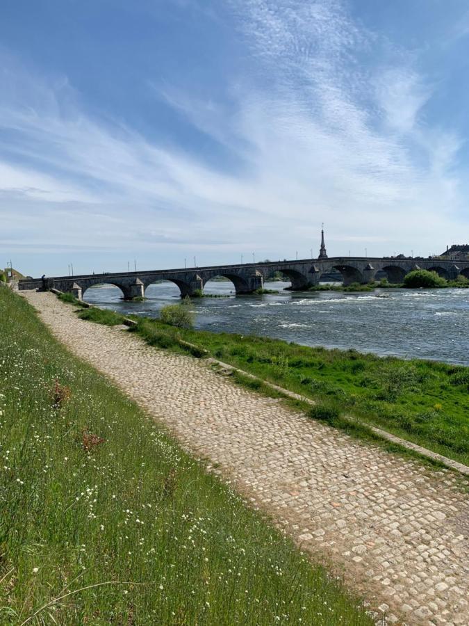 T2 - Au Calme Royaloire - Chateau A Vue - Luxe, Renove Blois Kültér fotó