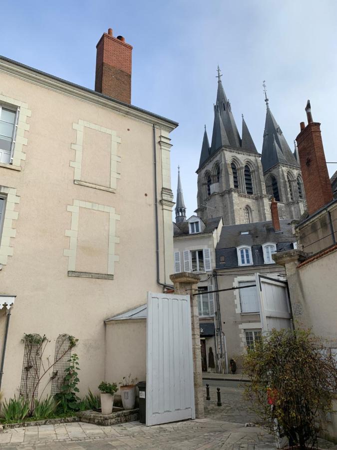 T2 - Au Calme Royaloire - Chateau A Vue - Luxe, Renove Blois Kültér fotó